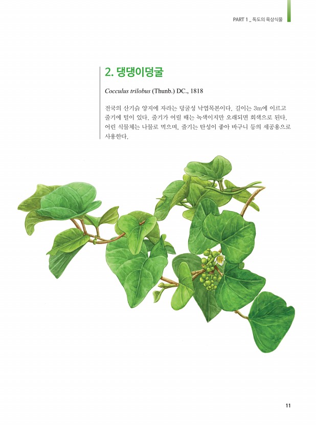 3페이지