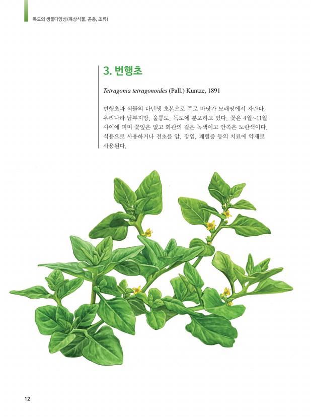 4페이지