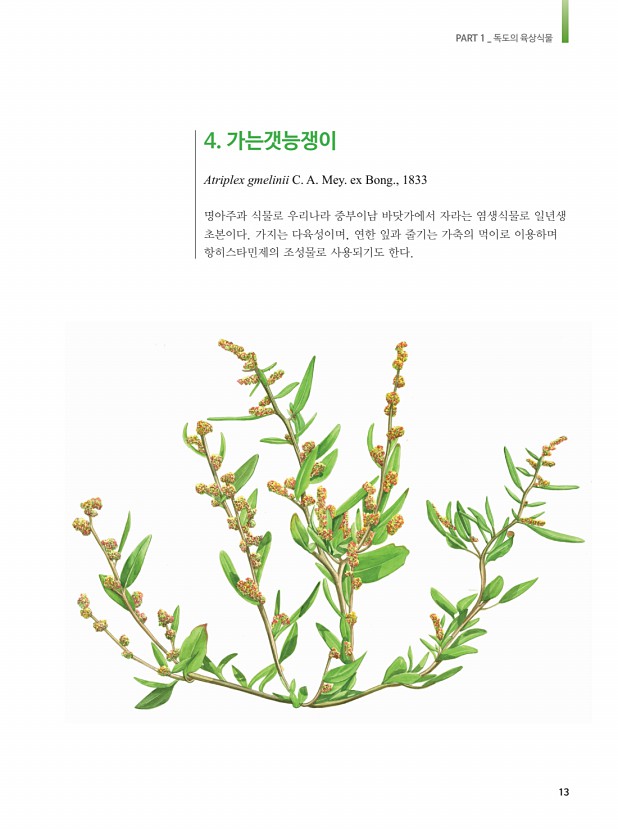 5페이지