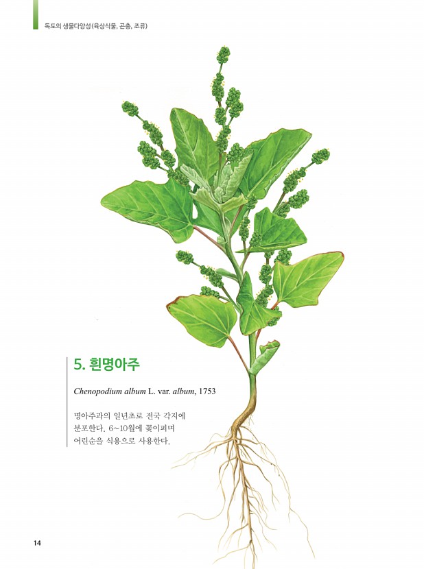6페이지