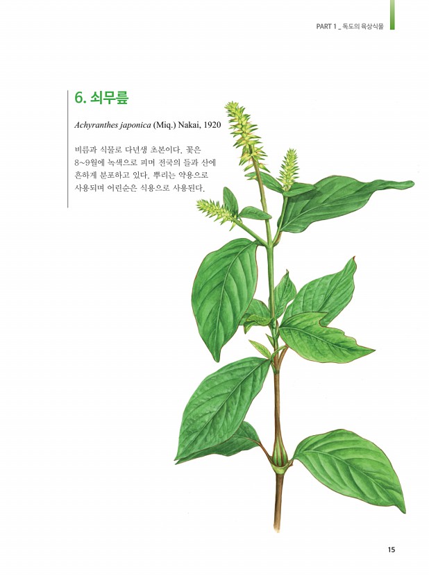 7페이지