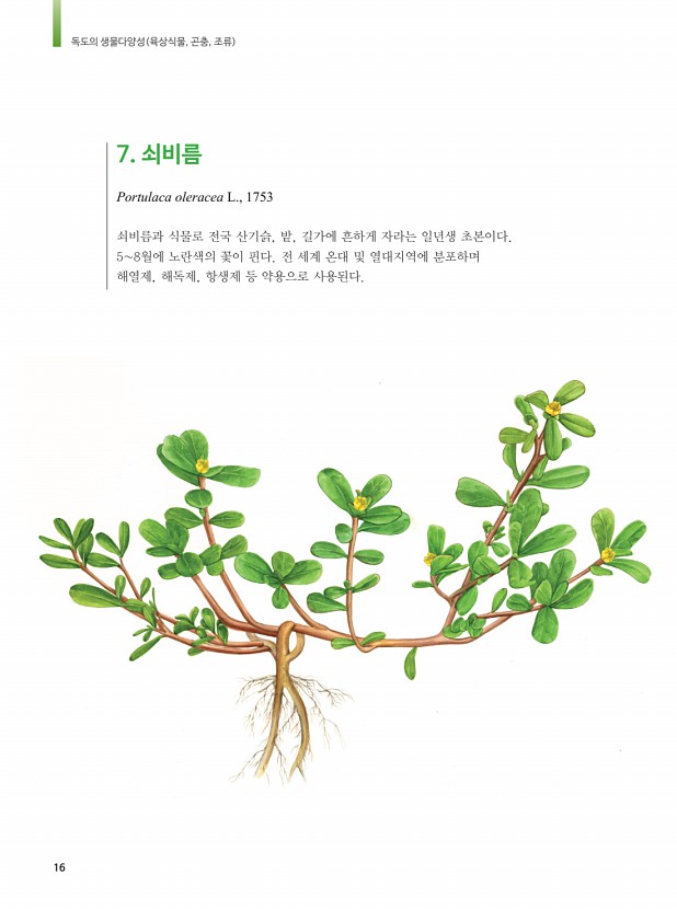 4페이지