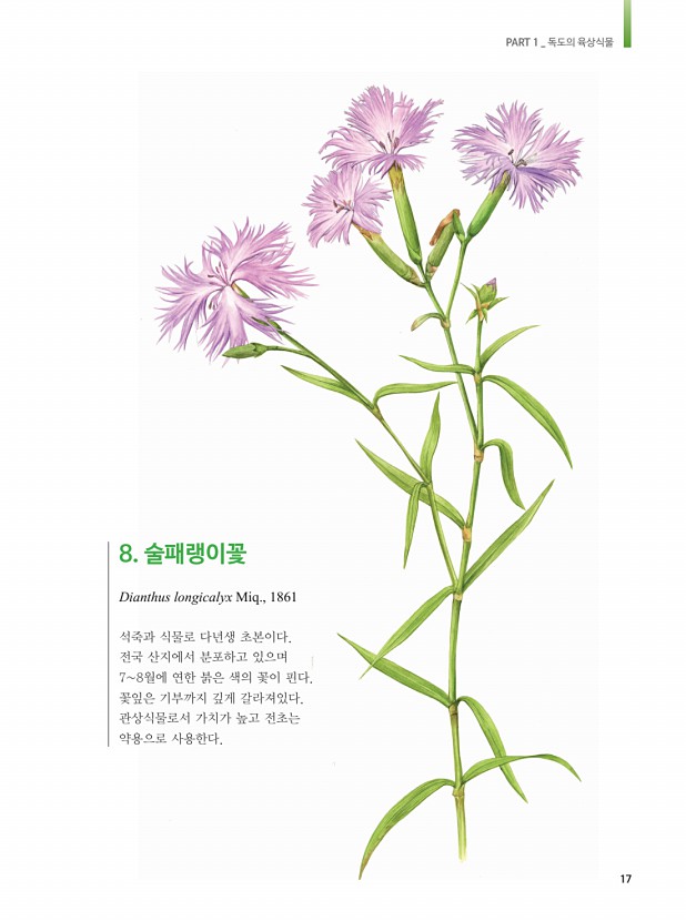 5페이지