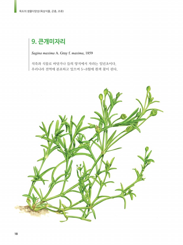 6페이지