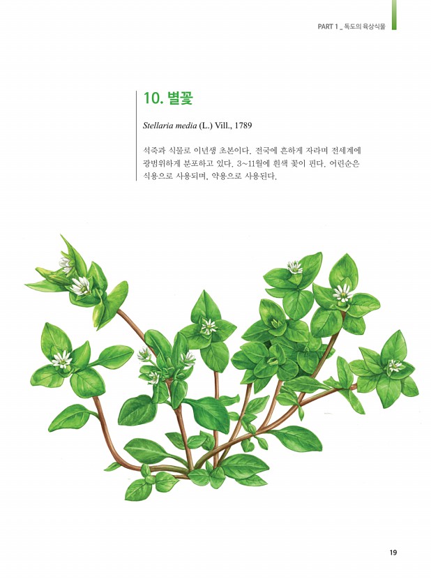 7페이지