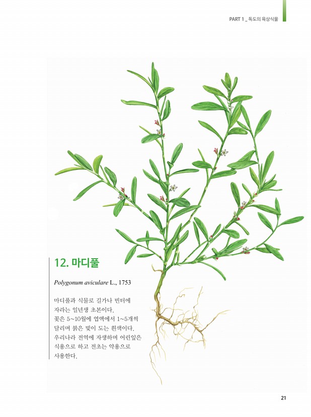9페이지