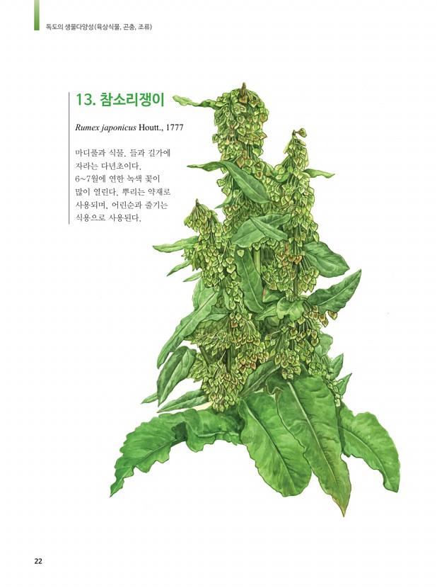 10페이지