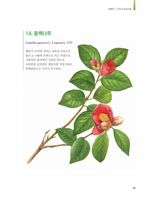 11페이지