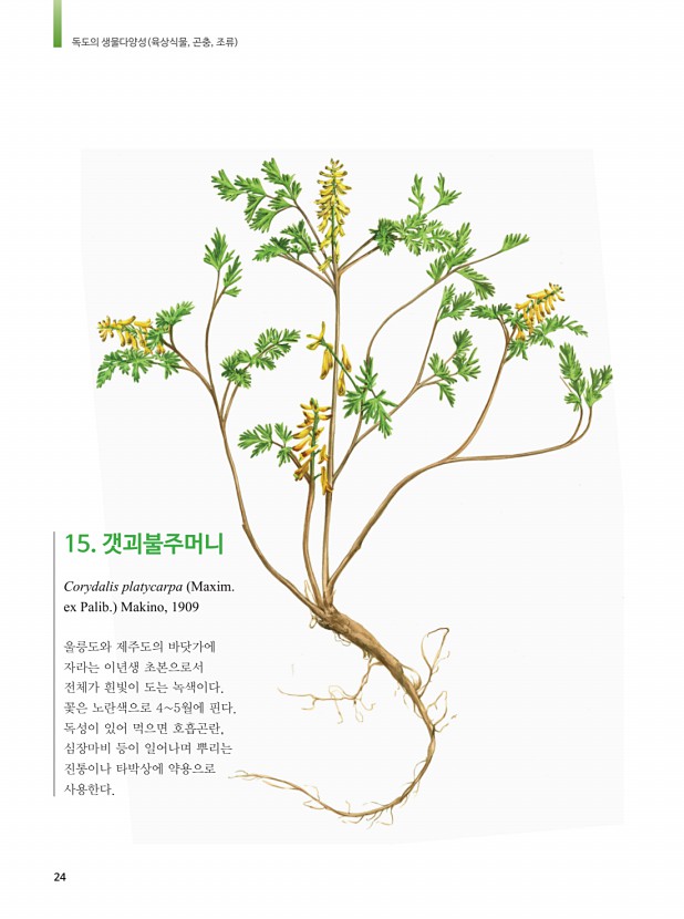 12페이지