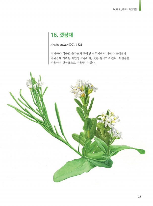 13페이지