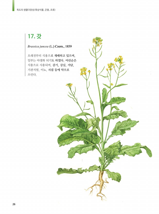 14페이지
