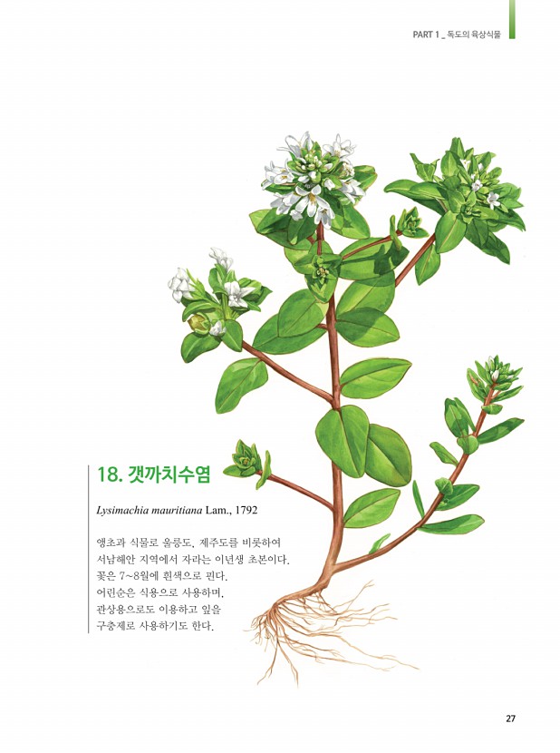 15페이지