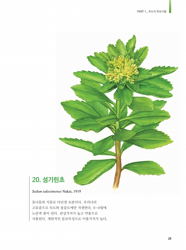17페이지