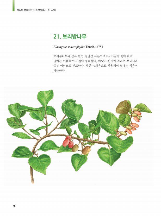 18페이지