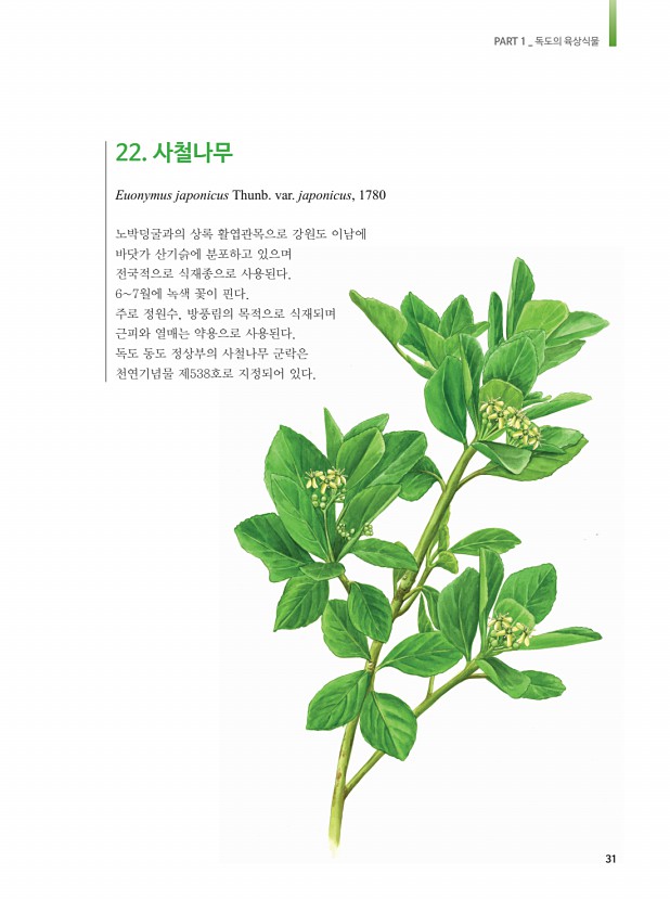 22페이지
