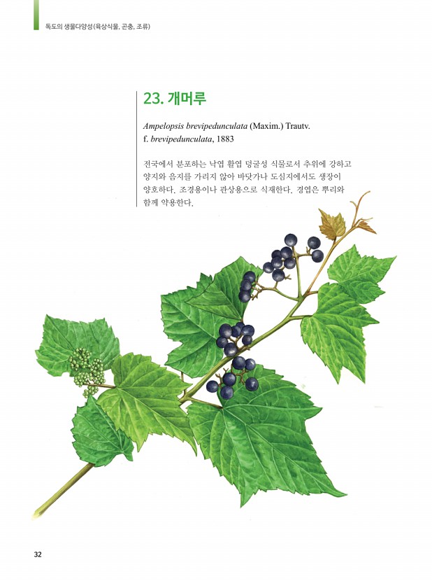 23페이지