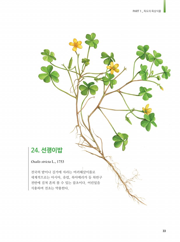 24페이지