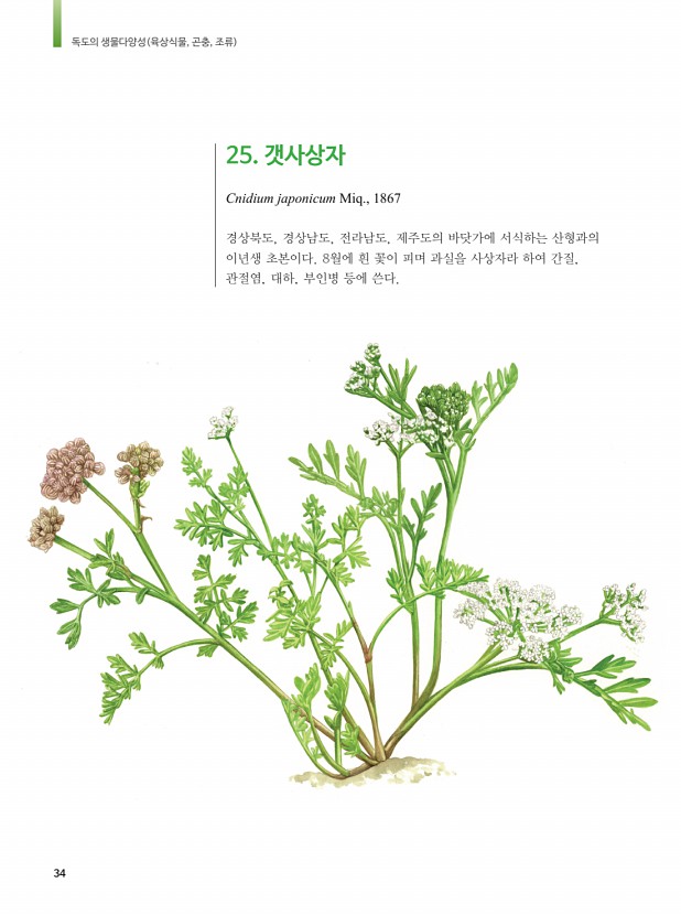 25페이지