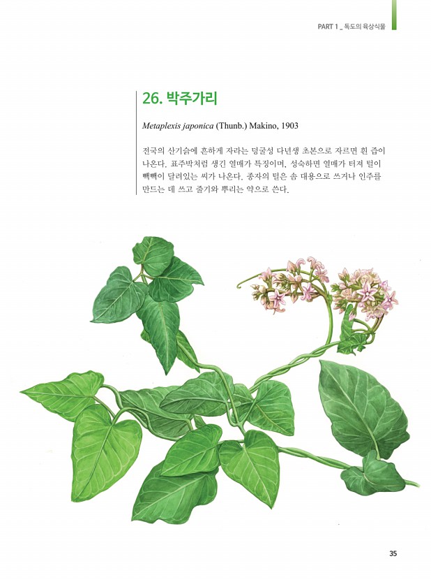 26페이지