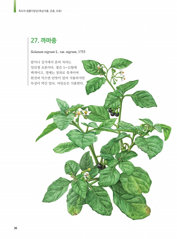 27페이지