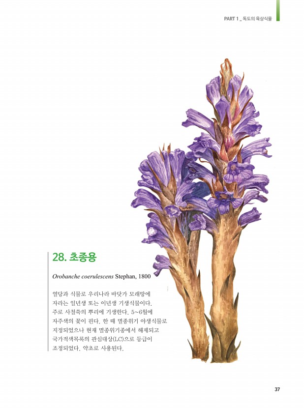 28페이지