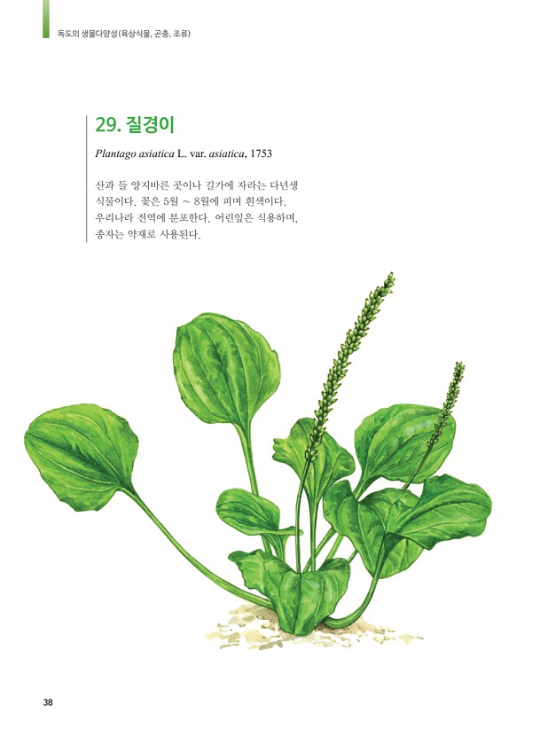 29페이지