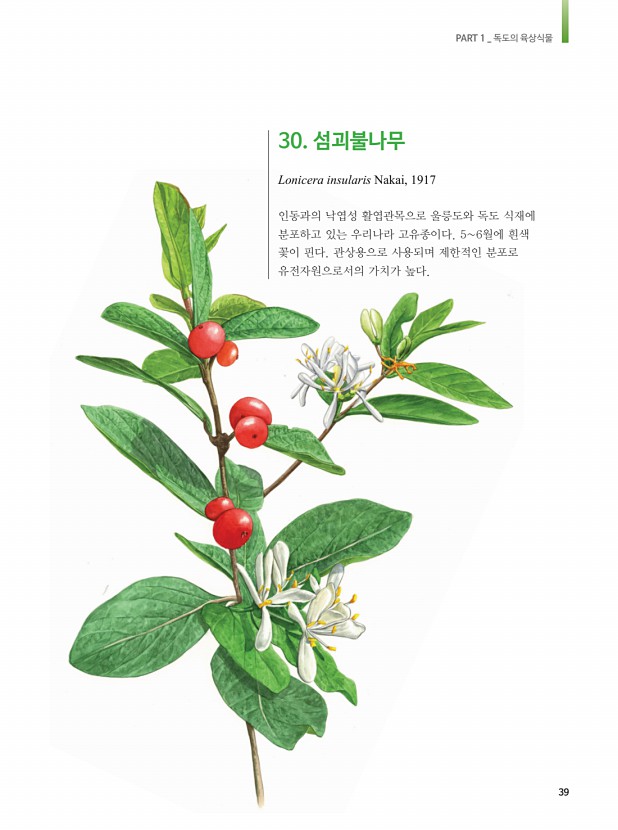 30페이지
