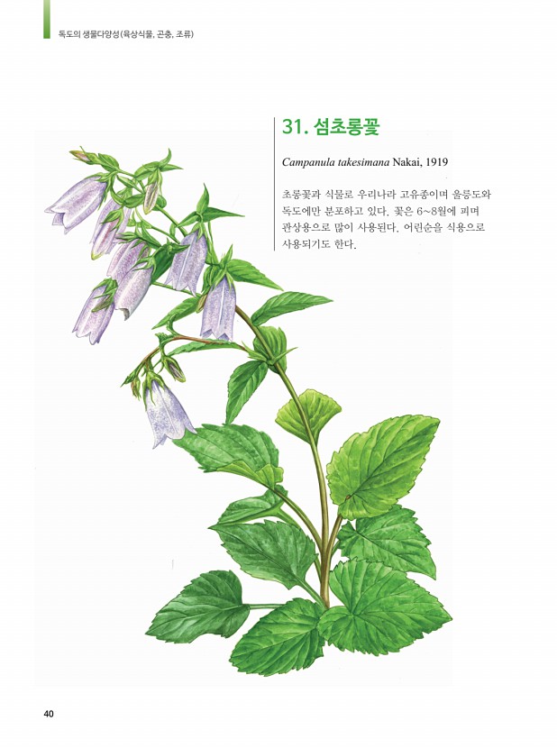 31페이지