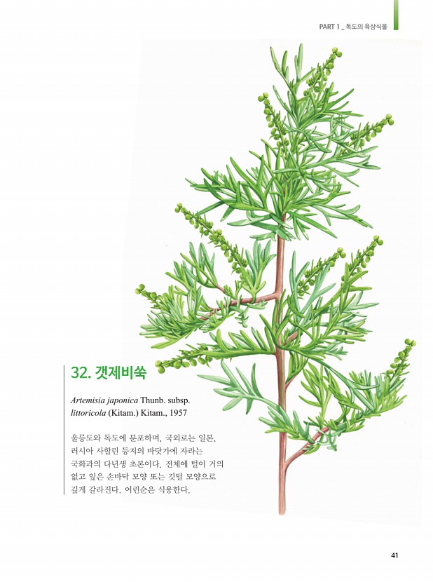 32페이지