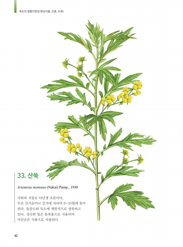 33페이지