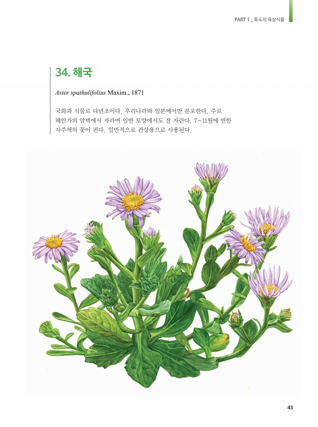 34페이지