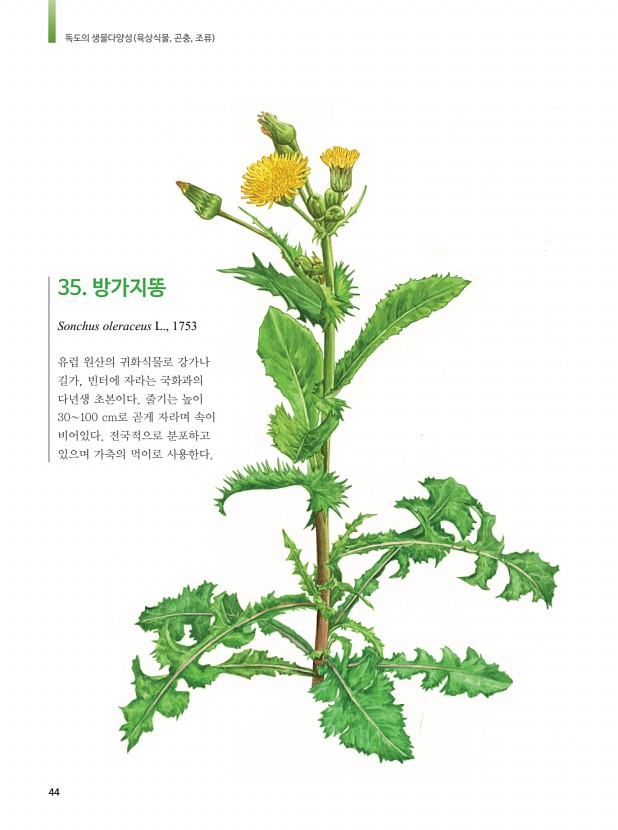 35페이지