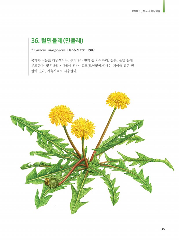 36페이지