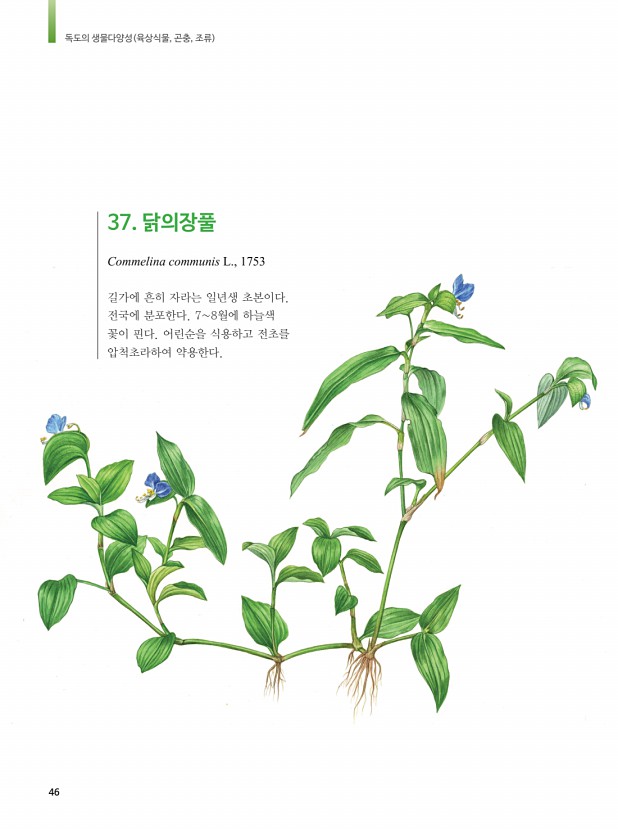 38페이지