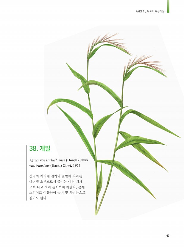 39페이지