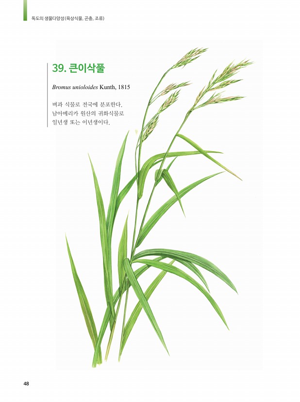 40페이지