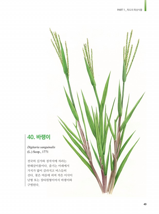 41페이지