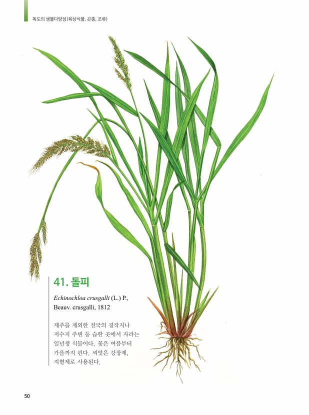 42페이지