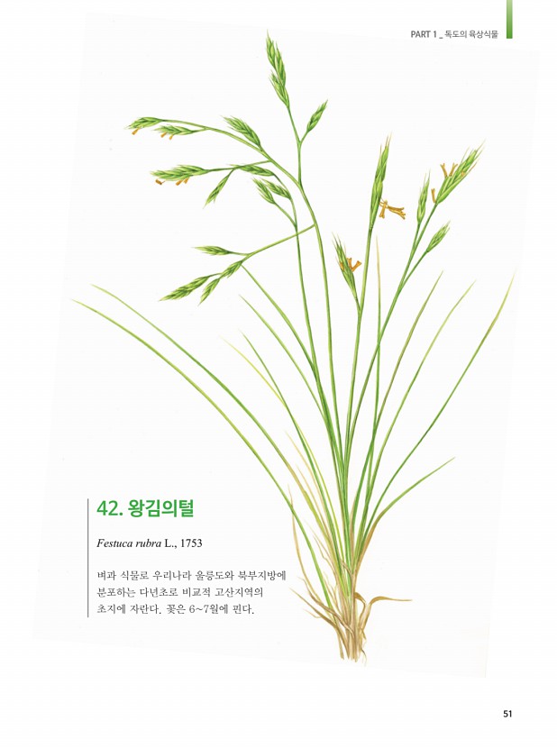 43페이지
