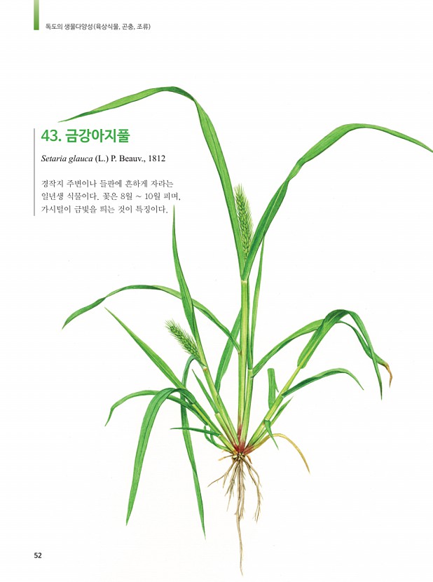 44페이지