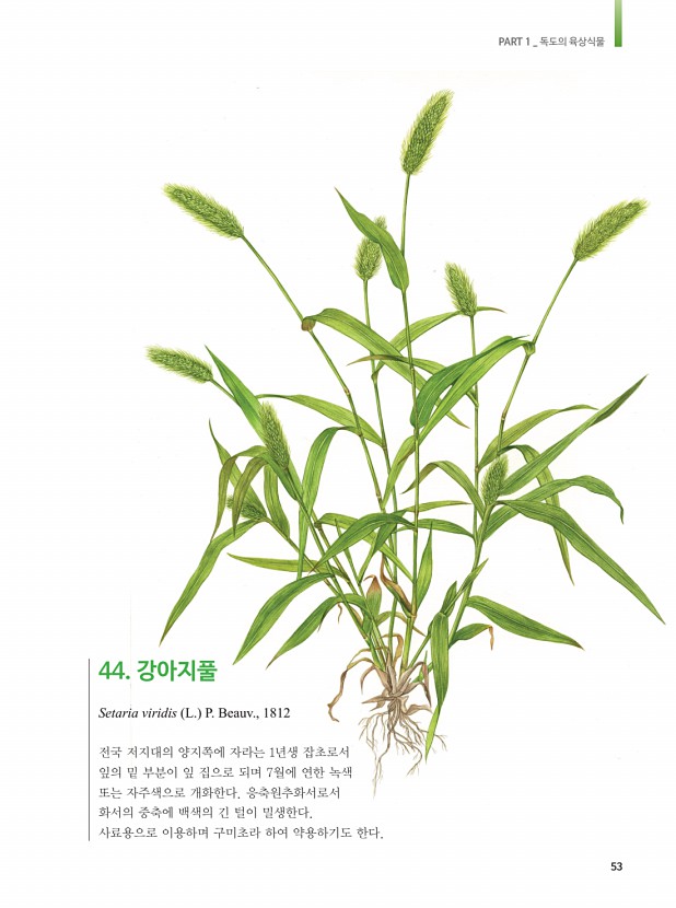 45페이지
