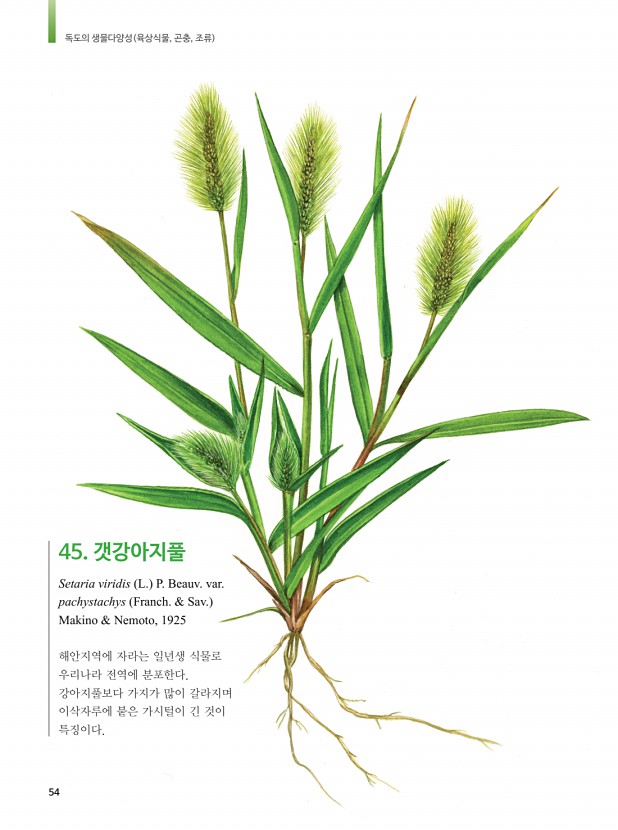 46페이지