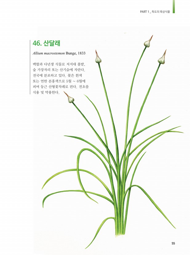 47페이지