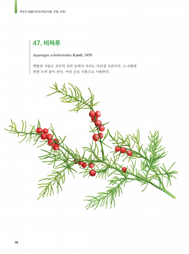 48페이지
