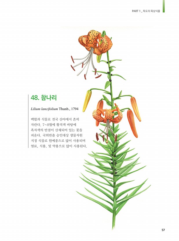 49페이지