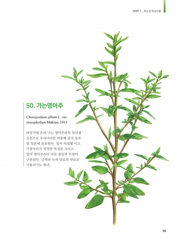 51페이지