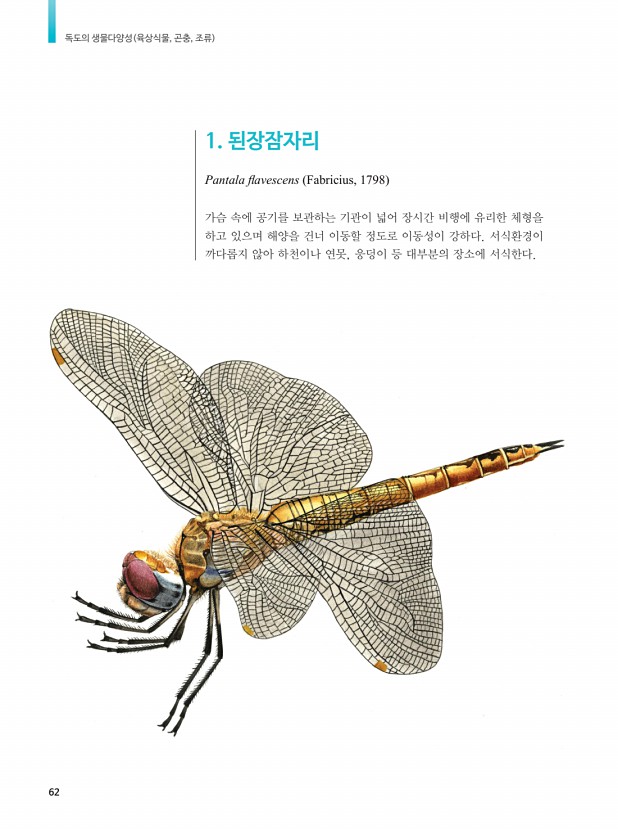 45페이지