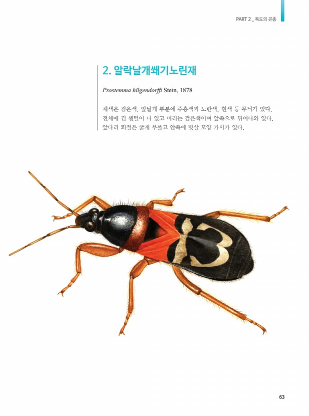 46페이지