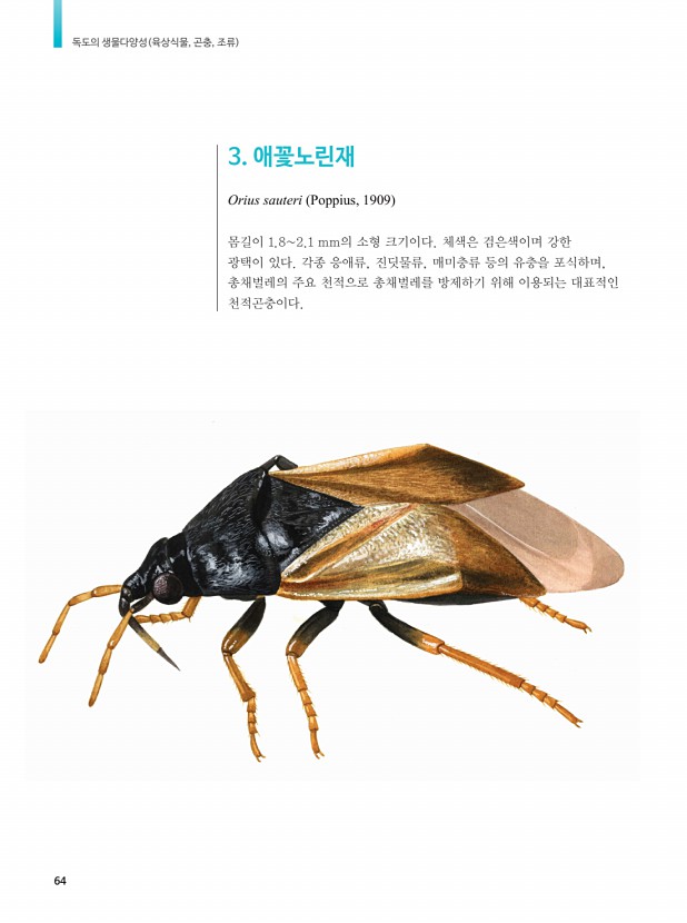 47페이지