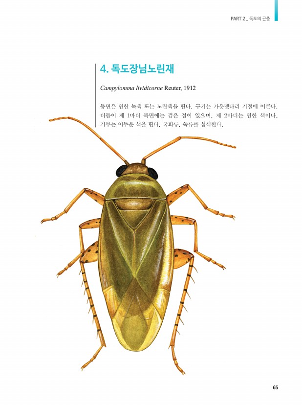 48페이지